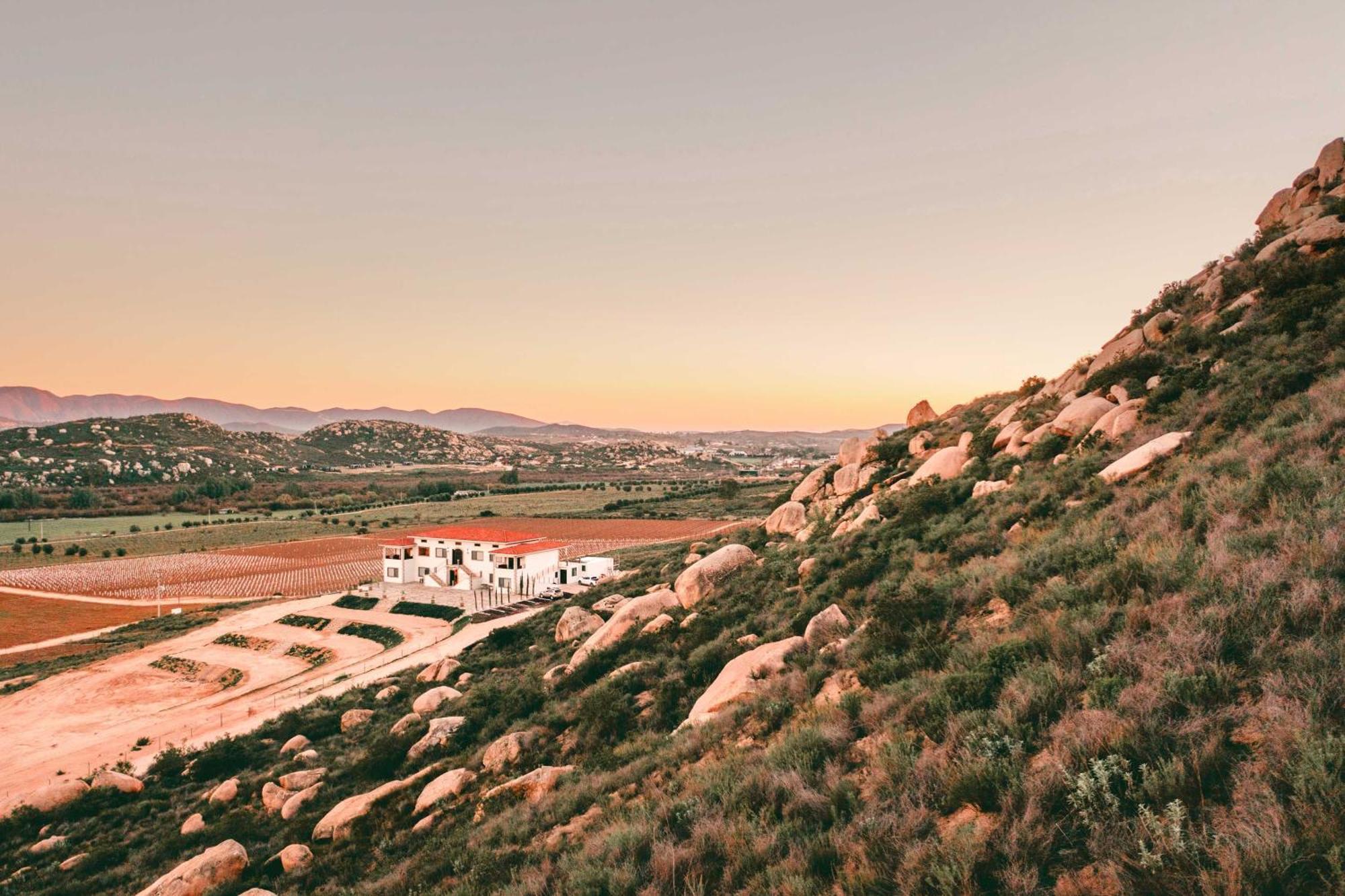 Villa Montefiori Valle de Guadalupe Εξωτερικό φωτογραφία